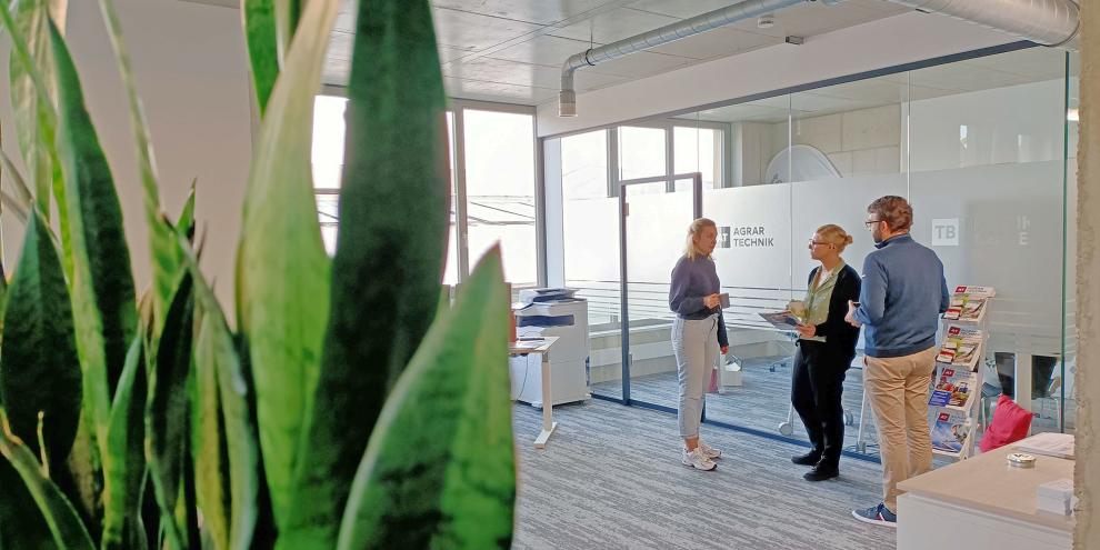 Vor einer Glasfront unterhalten sich drei Personen in einem hellen Büro in Würzburg. Im Vordergrund ist eine grüne Pflanze.
