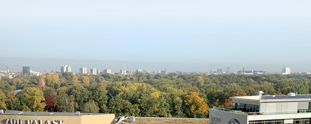 Zu sehen sind Himmel und die Baumkronen des Berliners Zoos. Am unteren Bildrand ist ganz leicht der Berliner Zoopalast zu erkennen. 