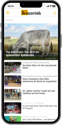 Abbildung: Ein Smartphone mit Website-Inhalten der Marke Braunvieh. 