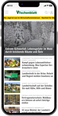 Abbildung: Ein Smartphone mit Website-Inhalten der Marke Bayrisches Landwirtschaftliches Wochenblatt.