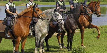 Polizeireiter und Polizeireiterinnen auf ihren Pferden