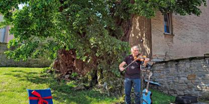 Nationalerbe-Baum Nr. 8, die etwa 800-jährige Prangerlinde in Großpörthen (Sachsen-Anhalt) während der Ausrufung im Mai 2021 mit musikalischer Einstimmung