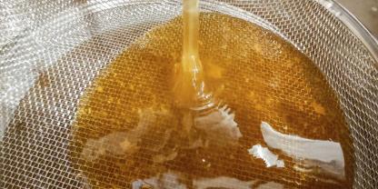 Mit einem Doppelsieb werden grobe und feinere Verunreinigungen aus dem Honig gefiltert.