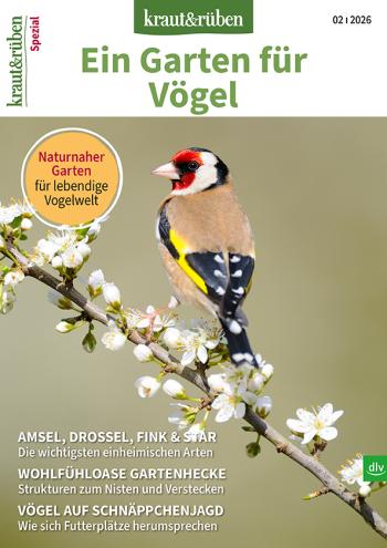 kraut&rüben Spezial Titelbild