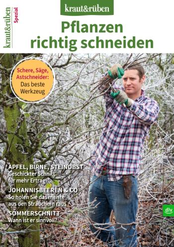 Titelbild kraut&rüben 