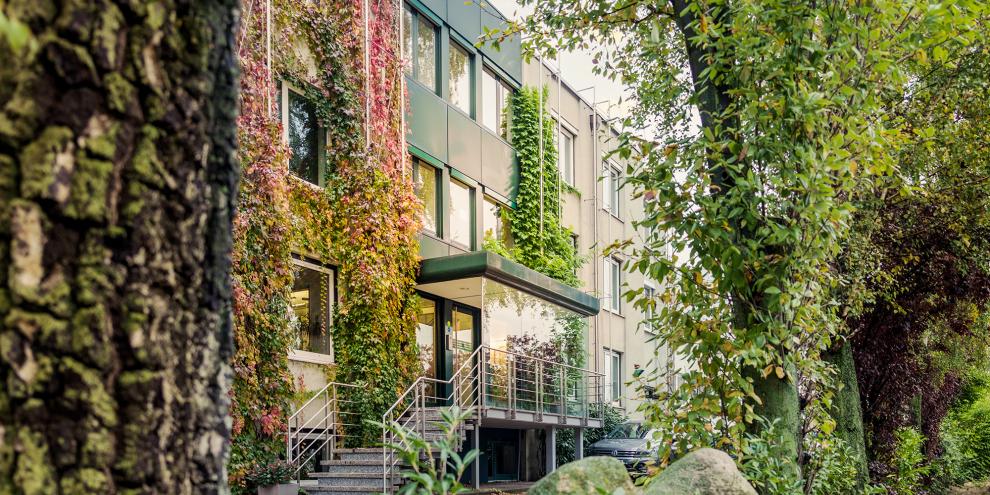 Zwischen Baumstämmen und Findlingen vorbei führt die Sicht auf den Haupteingang des Verlagsgebäudes vom dlv-Standort Hannover. Dabei umweben Blätterranken in bunten Herbstfarben  die Fassade  des Gebäudes.
