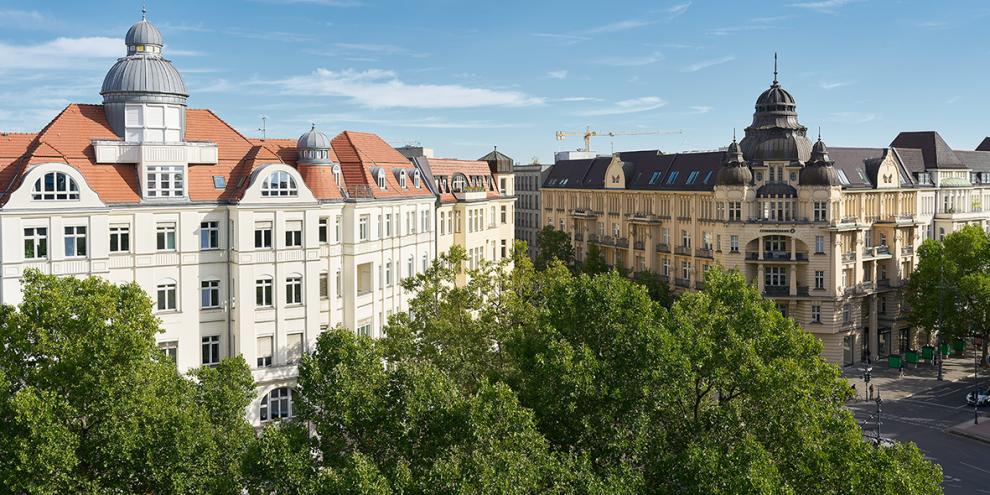 Zwei Altbaugebäude mit vielen Fenstern und Kuppeln auf dem Dach stehen hinter einer großen, grünen Baumkrone.