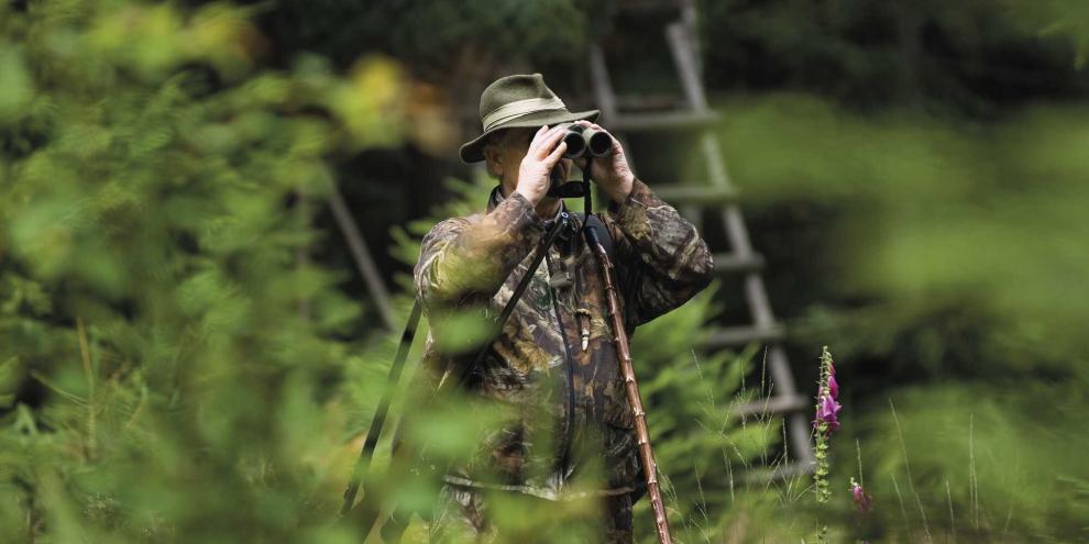 Jagd ohne behördlichen Abschussplan – ein Faktum, an dem sich in Bayern derzeit die Geister scheiden, wie eine aktuelle Debatte zeigt, in der wunderliches Verhalten eines Jagdverbands kurios anmutet.