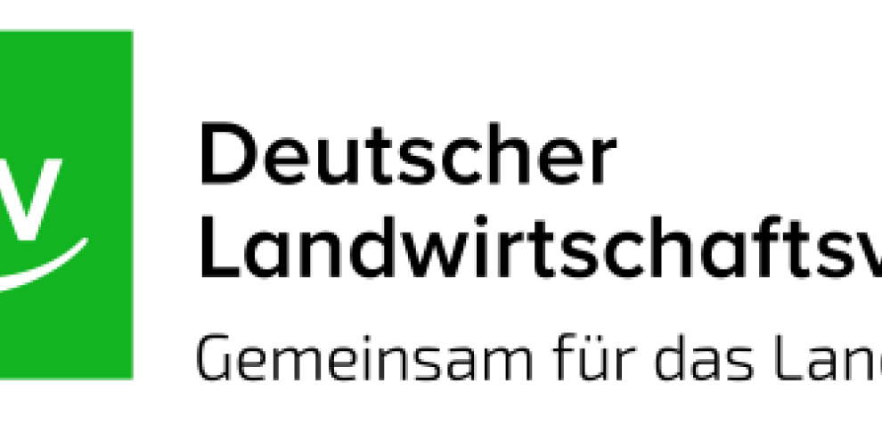 dlv Wort Bild Marke mit claim