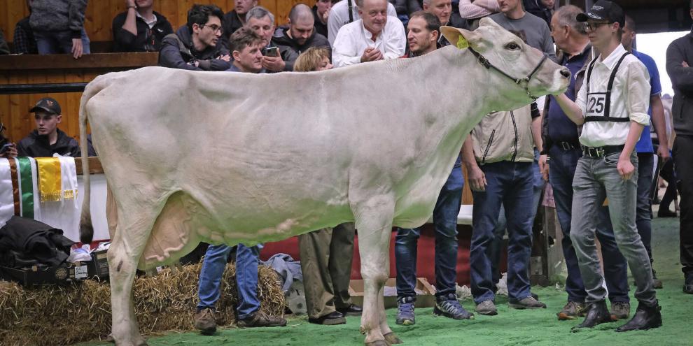 Mit solchen Kühen verdienen Bauern Geld: Huxoy Ramona von Daniel Gasser mit 123 000 kg Lebensleistung.