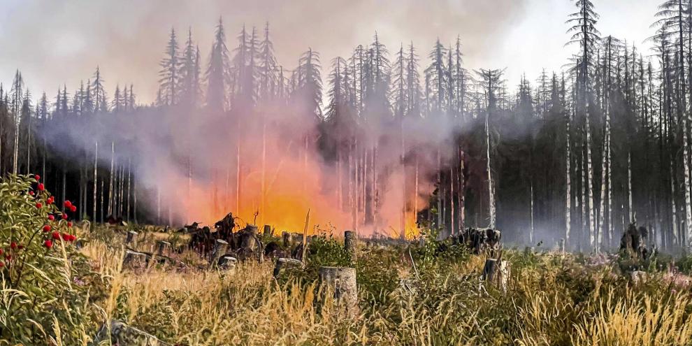 Je früher Waldbrände wie hier im Harz entdeckt werden, umso größer der Bekämpfungserfolg. In Hochrisikogebieten wird deshalb engmaschig überwacht und die Technik stetig weiterentwickelt.