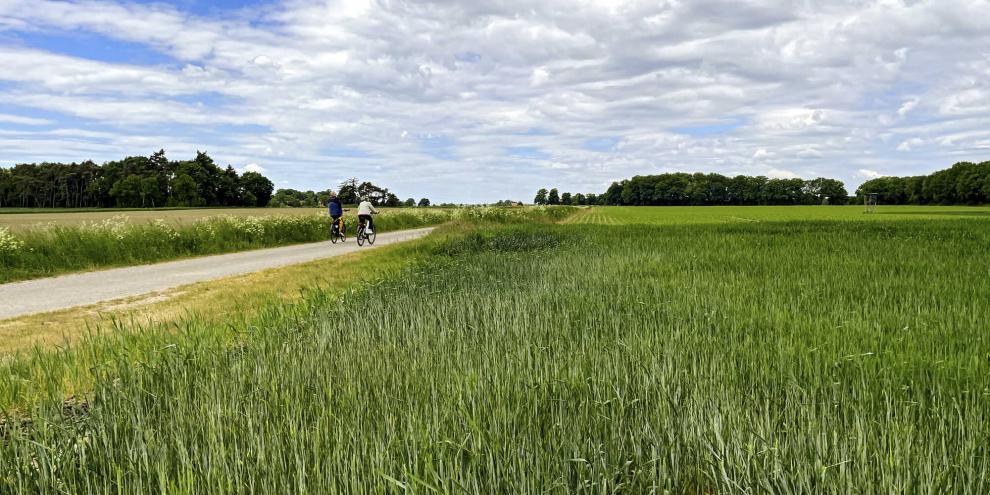 Landwirte laden zur Tour de Flur ein: Gibt es eine schönere Möglichkeit, die heimische Kulturlandschaft zu entdecken?