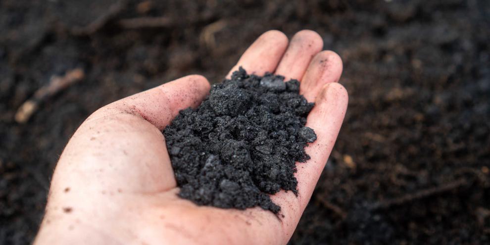 Terra Preta: So stellen Sie die schwarze Erde selbst her