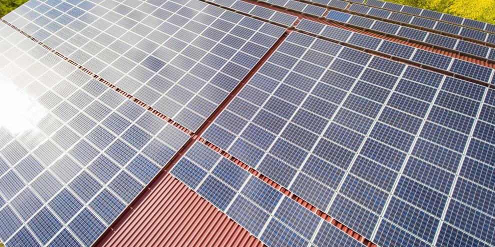 Photovoltaik-Anlage-auf-Schweinestall_imago