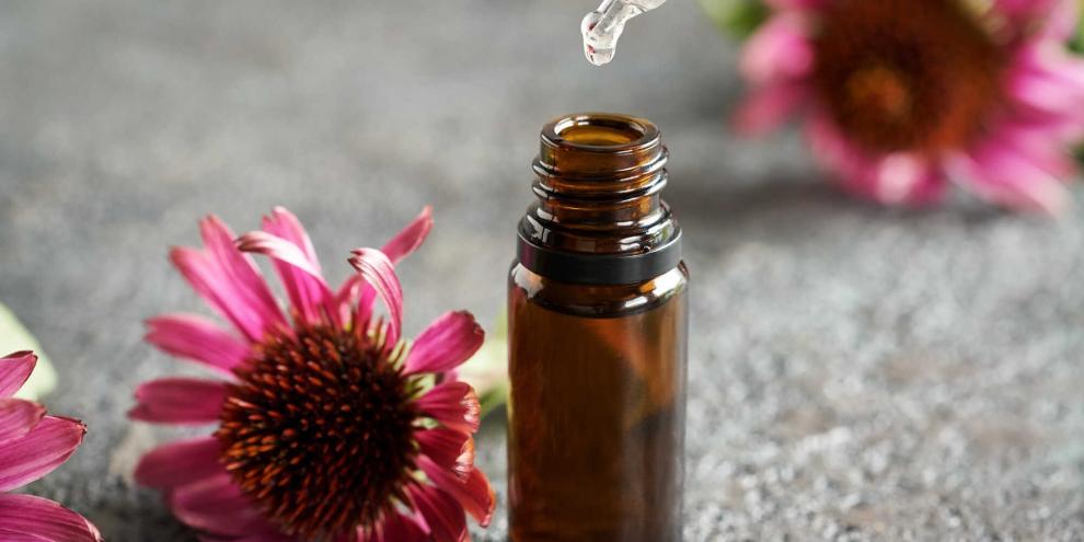Echinacea-Tinktur lässt sich schnell und einfach selbst herstellen.