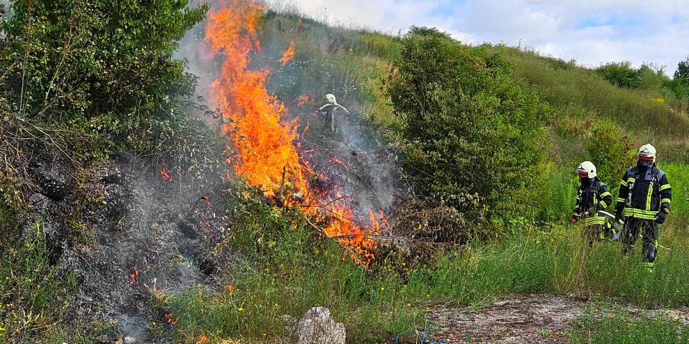 Vegetationsbrände entstehen mit zunehmend wärmeren Temperaturen naturgemäß öfter.