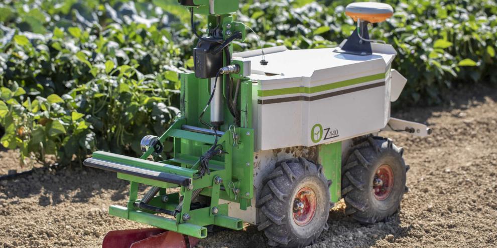 Den Feldroboter Oz hat Naïo Technologies für die Arbeit in Sonderkulturen entwickelt.