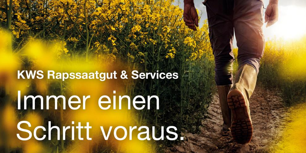 KWS Rapssaatgut & Services – Immer einen Schritt voraus.
