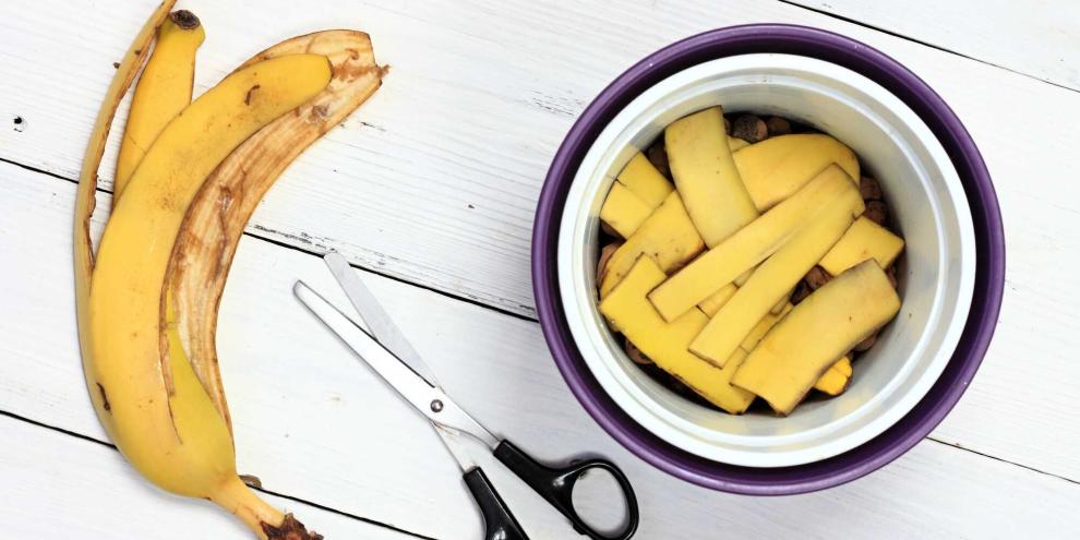 Die beliebteste Südfrucht in Deutschland: Dessertbanane