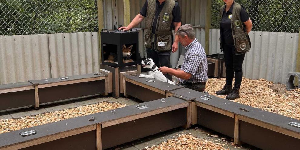 Hund am „SIM-Fox“ in Dänemark – für Ministerin Staudte auch eine Lösung für Niedersachsen?