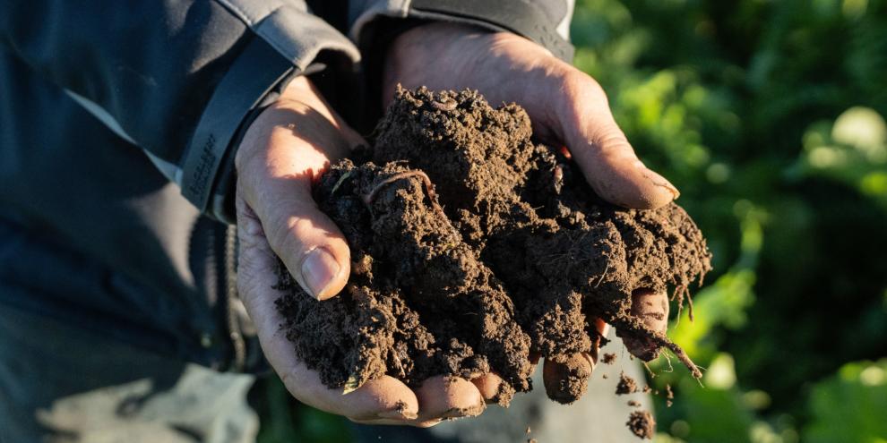 Optimaler Start und innovative Technik für Zwischenfrüchte 