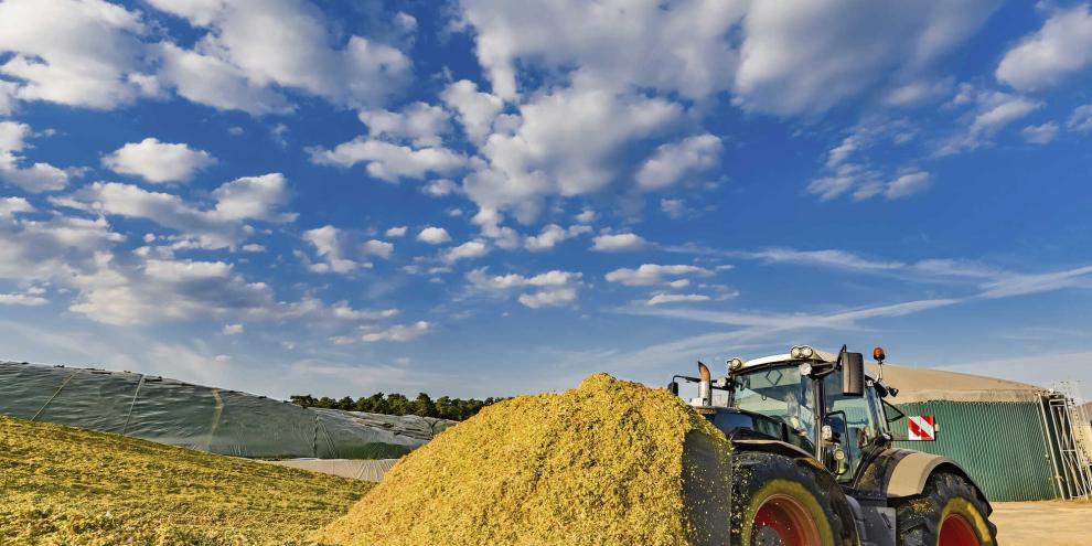 Schon beim Verdichten des Ernteguts wird die Qualität der späteren Silage festgelegt.