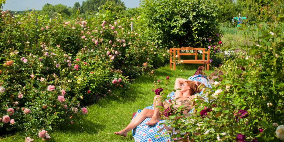 Zwischen duftenden Rosenblüten genießt sie ungestörte Sonnenstunden im eigenen Garten.