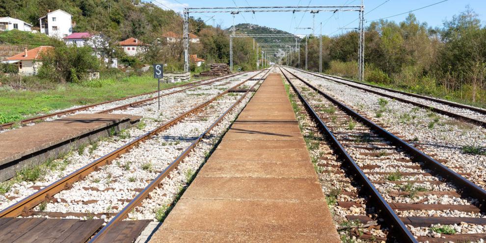 Freilaufende Bullen bremsen Zug- und Straßenverkehr aus. (Symbolbild)