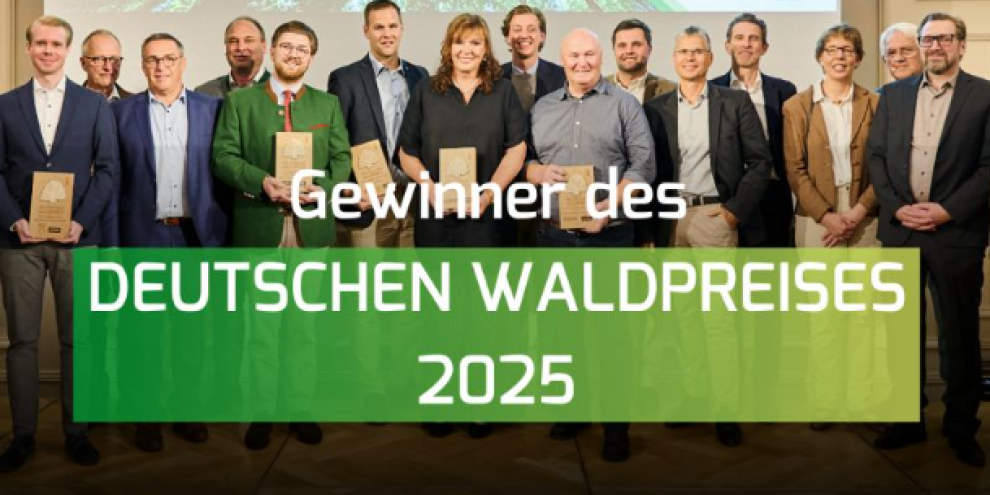 DWP 2025 Gewinner LinkedIn