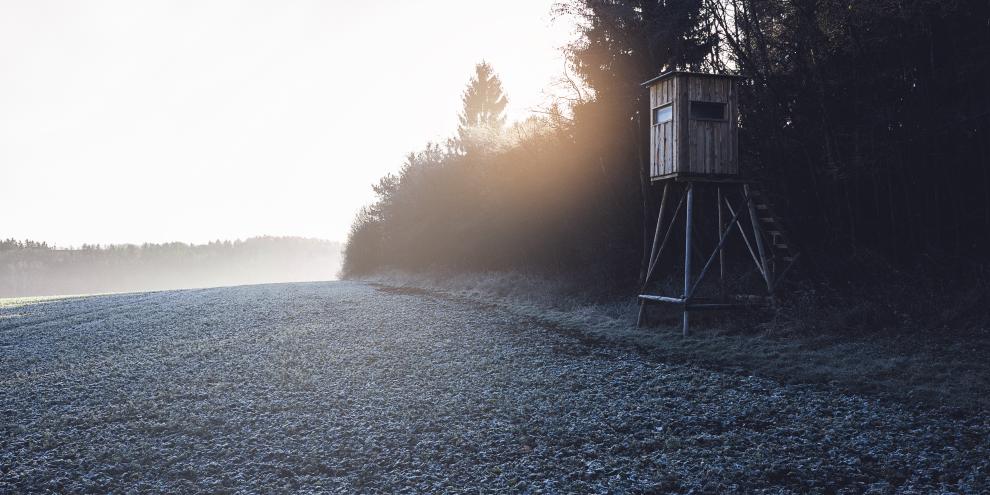Hochsitz am Waldrand