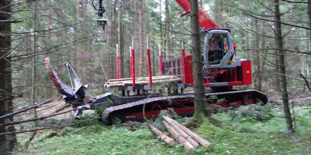 Forwarder im Einsatz