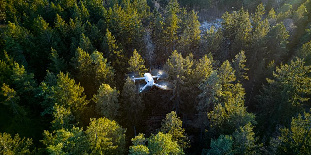 Drohne über Wald