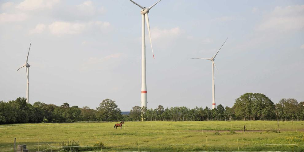 Am Windpark Hörstel im Kreis Steinfurt sind Bürger und Landwirte beteiligt.