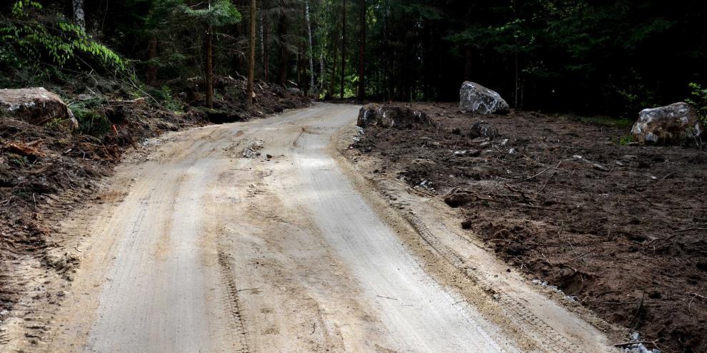 Forstweg-wird-besfestigt-AdobeStock_348206841