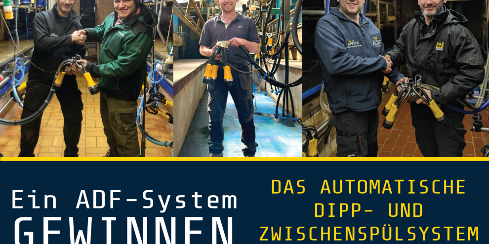 Automatisierung im Melkstand: Wie das ADF-System die Milchviehhaltung revolutioniert