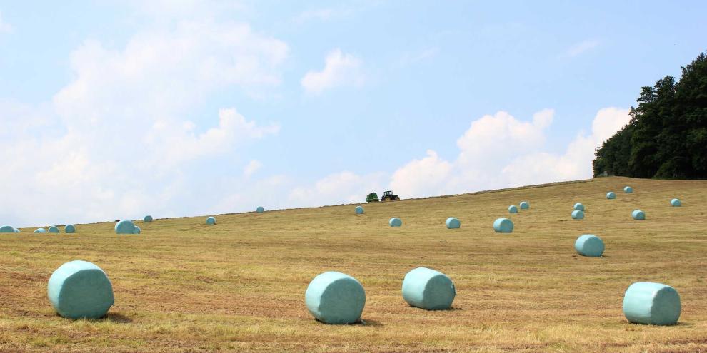 Prinzipiell dürfen Landwirte ungestapelte Silageballen auf dem Feld lagern.
