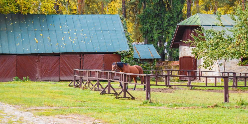 Wald-Pferdestall-landwirtschaft-AdobeStock_215481101