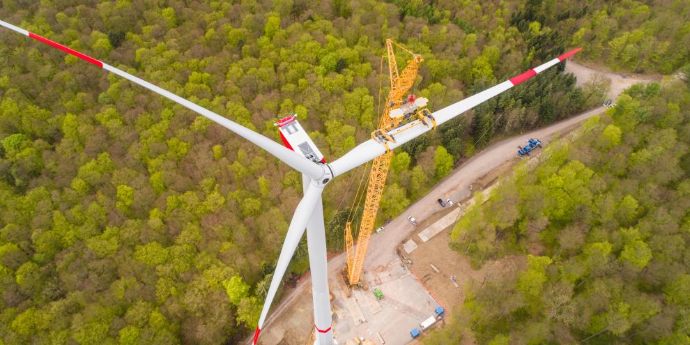 Der Aufbau eines Windrades im Wald geht nicht ohne Fällung.