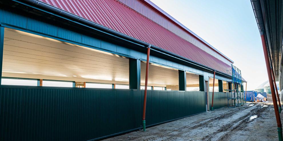 Neubau eines Schweinestalls