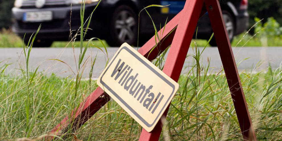 Nach einem Wildunfall hat ein Jäger die Autofahrer zur Kasse gebeten. Nach einem Wildunfall hat ein Jäger die Autofahrer zur Kasse gebeten.