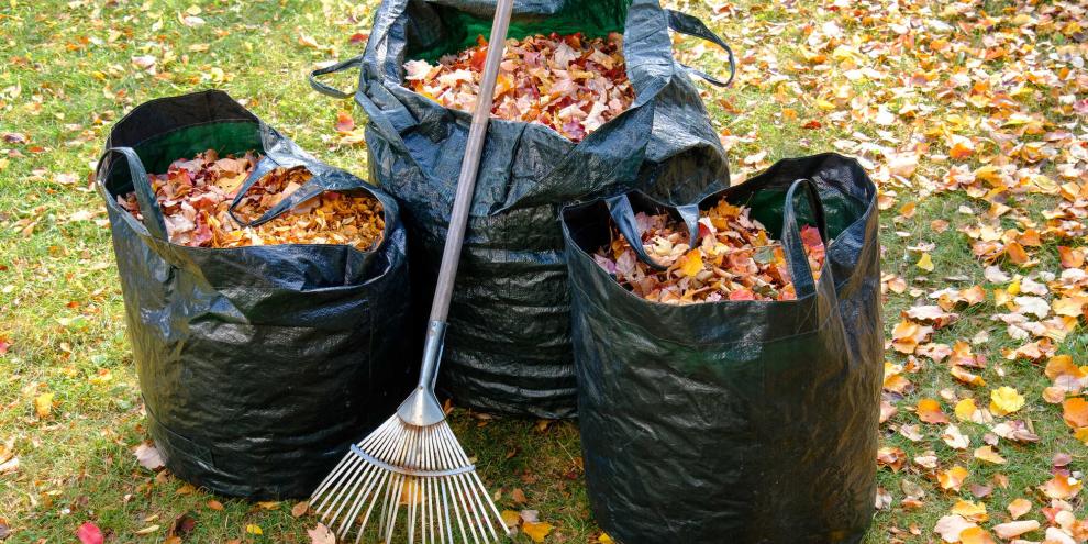 Wohin damit? Ab in den Wald ist keine gute Idee. Wohin damit? Ab in den Wald ist keine gute Idee.