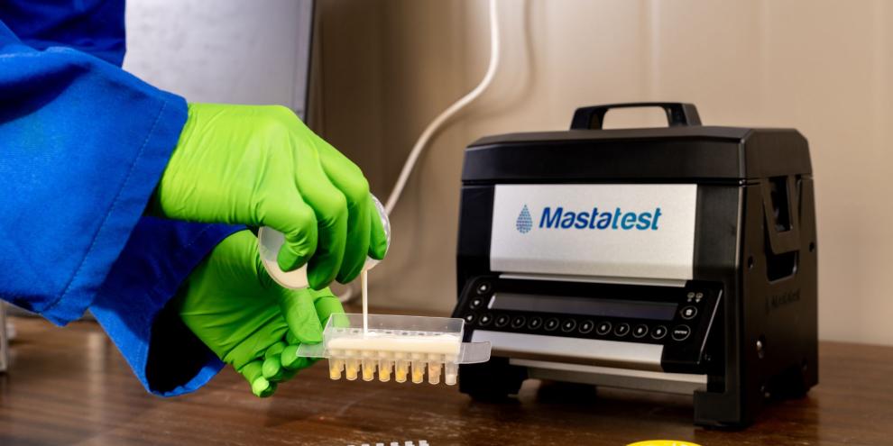 Verursacher von Mastitis schneller finden