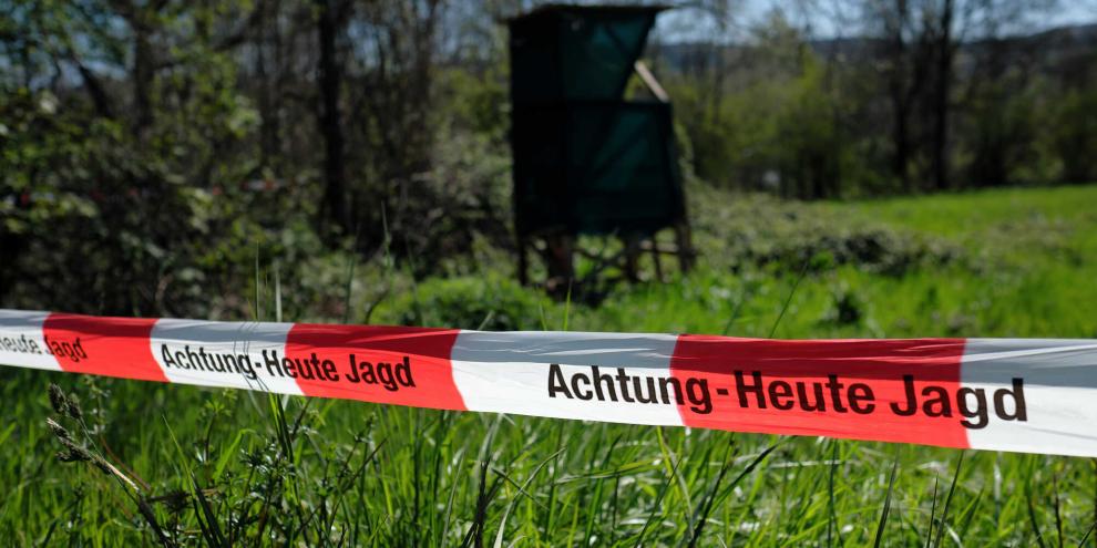 Welche Unterschiede gibt es bei Treib- und Drückjagden? Welche Unterschiede gibt es bei Treib- und Drückjagden?