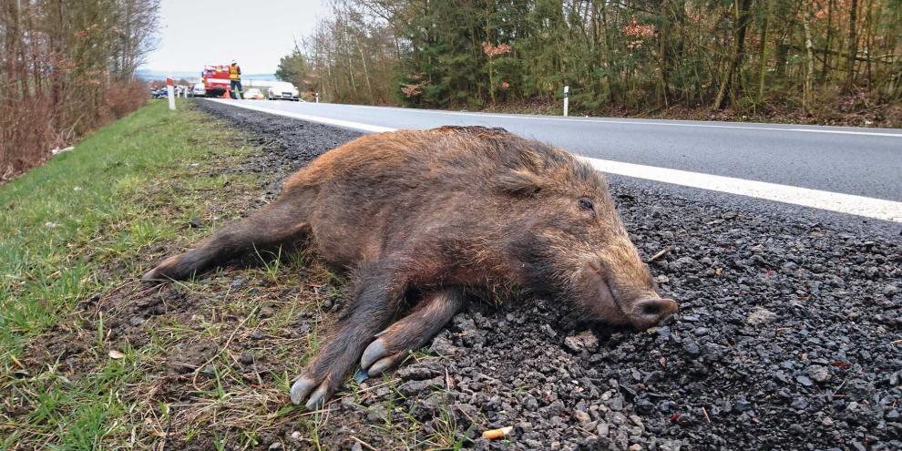 Gemeinsam mit der Polizei startete die Jägerschaft Nienburg das Pilotprojekt „Wildunfall“.