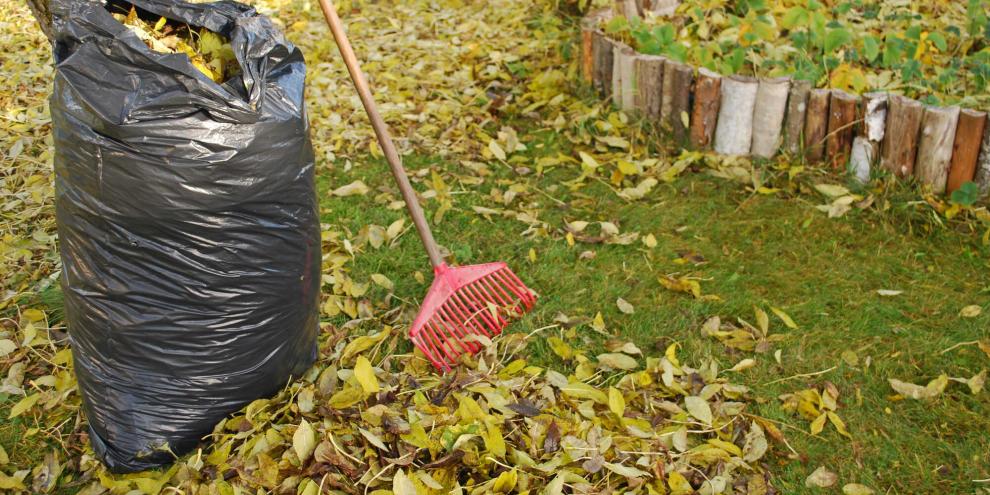 Laubfall-Herbst-AdobeStock_57160316