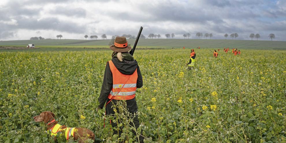 Ein Teil der Waffenrechtsverschärfung tritt nun in Kraft. Ein weiterer Teil soll im kommenden Jahr folgen.