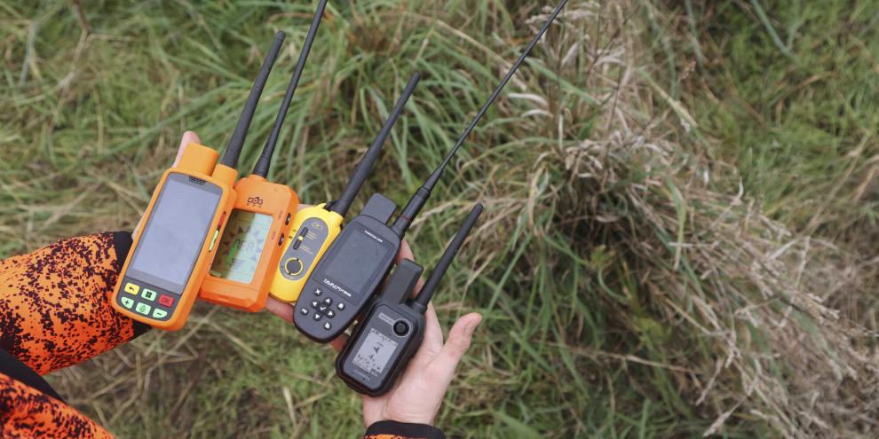 Im Test traten fünf verschiedene Geräte von den Marken Aduro, Dogtrace, Dogtra, Canicom und Garmin an (v. l. n. r.). Im Test traten fünf verschiedene Geräte von den Marken Aduro, Dogtrace, Dogtra, Canicom und Garmin an (v. l. n. r.).