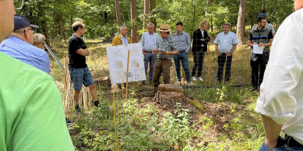 Gemeindewald Sommerhausen: Förster Wolfgang Schölch (Mitte) erklärt den Versuch mit der Erde aus der Zuckerrübenwäsche.