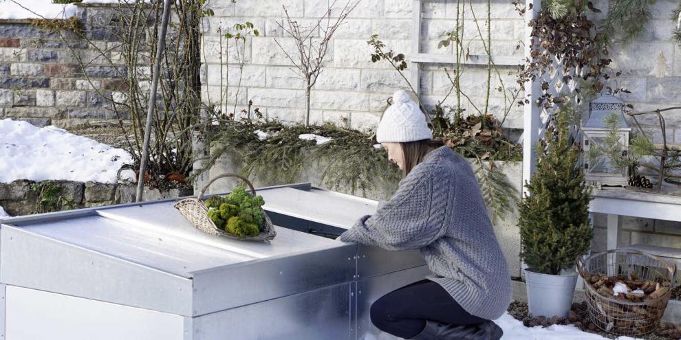Bei Frost und Schnee Gemüse in Frühbeeten ernten macht Freude.