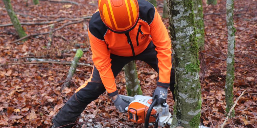 Motorsäge-Akkumotor